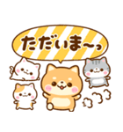 仲良し猫ちゃん♡豆柴犬ちゃん（個別スタンプ：21）