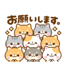 仲良し猫ちゃん♡豆柴犬ちゃん（個別スタンプ：26）