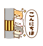 仲良し猫ちゃん♡豆柴犬ちゃん（個別スタンプ：27）