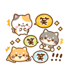 仲良し猫ちゃん♡豆柴犬ちゃん（個別スタンプ：29）