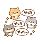 仲良し猫ちゃん♡豆柴犬ちゃん（個別スタンプ：32）