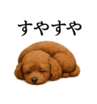 仕事終わりのひとこと｜トイプードル（個別スタンプ：1）
