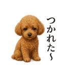 仕事終わりのひとこと｜トイプードル（個別スタンプ：11）