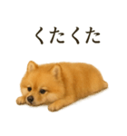仕事終わりの一言｜可愛いポメラニアン（個別スタンプ：2）