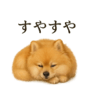 仕事終わりの一言｜可愛いポメラニアン（個別スタンプ：3）