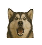 びっくり顔（犬編）（個別スタンプ：2）