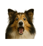 びっくり顔（犬編）（個別スタンプ：11）