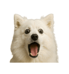 びっくり顔（犬編）（個別スタンプ：14）