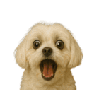 びっくり顔（犬編）（個別スタンプ：33）