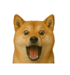 びっくり顔（犬編）（個別スタンプ：37）