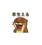 "充血カワウソ"の一日（個別スタンプ：8）