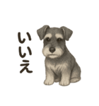 推しワン★ツンデレシュナウザーのいたわり（個別スタンプ：18）