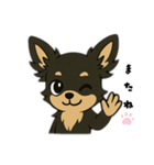 チワックスのstamp（個別スタンプ：5）