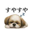 仕事終わりの一言｜リアル可愛いシーズー犬（個別スタンプ：1）