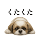 仕事終わりの一言｜リアル可愛いシーズー犬（個別スタンプ：2）