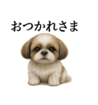 仕事終わりの一言｜リアル可愛いシーズー犬（個別スタンプ：4）
