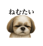 仕事終わりの一言｜リアル可愛いシーズー犬（個別スタンプ：5）