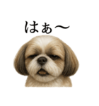 仕事終わりの一言｜リアル可愛いシーズー犬（個別スタンプ：7）