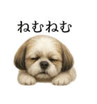 仕事終わりの一言｜リアル可愛いシーズー犬（個別スタンプ：10）