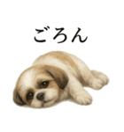 仕事終わりの一言｜リアル可愛いシーズー犬（個別スタンプ：11）