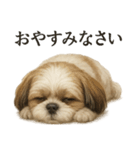 仕事終わりの一言｜リアル可愛いシーズー犬（個別スタンプ：16）