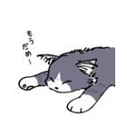 ラテとメルク 1（個別スタンプ：4）