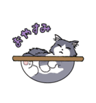 ラテとメルク 1（個別スタンプ：10）