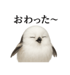 仕事終わりの一言｜リアル可愛いシマエナガ（個別スタンプ：15）