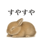 仕事終わりの一言｜リアル可愛いうさぎ（個別スタンプ：2）