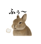 仕事終わりの一言｜リアル可愛いうさぎ（個別スタンプ：6）