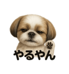 【褒め上手】ポジティブなシーズー犬ライン（個別スタンプ：2）