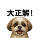 【褒め上手】ポジティブなシーズー犬ライン（個別スタンプ：3）