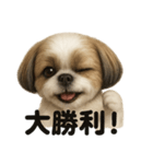 【褒め上手】ポジティブなシーズー犬ライン（個別スタンプ：4）