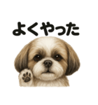 【褒め上手】ポジティブなシーズー犬ライン（個別スタンプ：5）