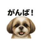 【褒め上手】ポジティブなシーズー犬ライン（個別スタンプ：7）
