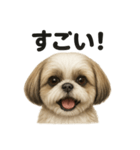 【褒め上手】ポジティブなシーズー犬ライン（個別スタンプ：9）