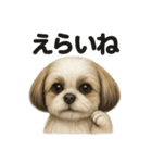 【褒め上手】ポジティブなシーズー犬ライン（個別スタンプ：10）