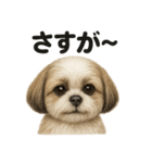 【褒め上手】ポジティブなシーズー犬ライン（個別スタンプ：11）