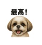 【褒め上手】ポジティブなシーズー犬ライン（個別スタンプ：12）