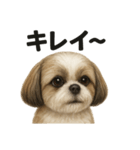 【褒め上手】ポジティブなシーズー犬ライン（個別スタンプ：13）