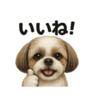 【褒め上手】ポジティブなシーズー犬ライン（個別スタンプ：14）