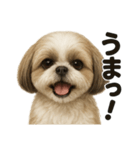 【褒め上手】ポジティブなシーズー犬ライン（個別スタンプ：15）