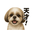 【褒め上手】ポジティブなシーズー犬ライン（個別スタンプ：16）