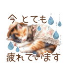 今を使える梅雨と初夏の水彩ねこ‎︎✿（個別スタンプ：24）