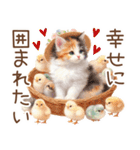 今を使える梅雨と初夏の水彩ねこ‎︎✿（個別スタンプ：37）