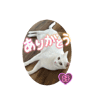 ひふみ2025（個別スタンプ：3）