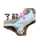ひふみ2025（個別スタンプ：10）