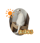 ひふみ2025（個別スタンプ：11）