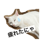 ひふみ2025（個別スタンプ：14）
