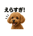 【褒め上手】ポジティブなトイプードル（個別スタンプ：1）